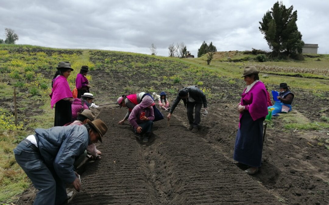 cooperación sur – sur: Progressio comparte con ERPE un proyecto de seguridad alimentaria y nutricional en Riobamba, Ecuador